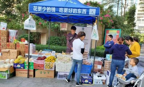 社区团购转向理性竞争，日用百货销售迎高质量发展新机遇